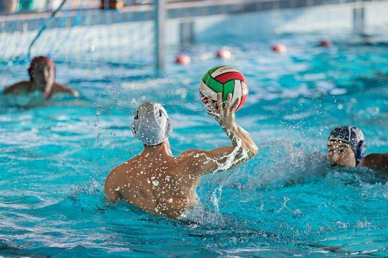 Natación infantil por niveles